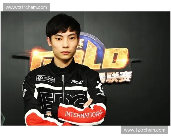 风暴英雄EDG战队：从荣耀之路到未来战场的全面解析与展望